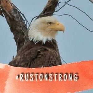 Meet your Posher, Lorrie